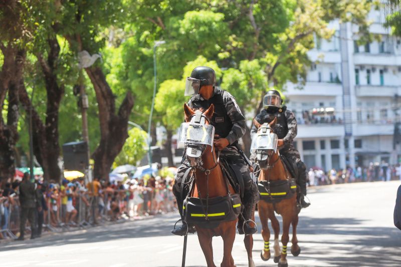  <div class='credito_fotos'>Foto: Bruno Cruz / Agência Pará   |   <a href='/midias/2024/originais/20828_d3e30c33-66e6-77c1-86dc-36a12850432c.jpg' download><i class='fa-solid fa-download'></i> Download</a></div>