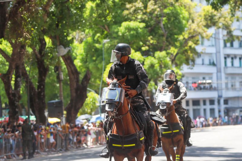  <div class='credito_fotos'>Foto: Bruno Cruz / Agência Pará   |   <a href='/midias/2024/originais/20828_d8fcb718-88e9-42f0-9390-b4857365855c.jpg' download><i class='fa-solid fa-download'></i> Download</a></div>