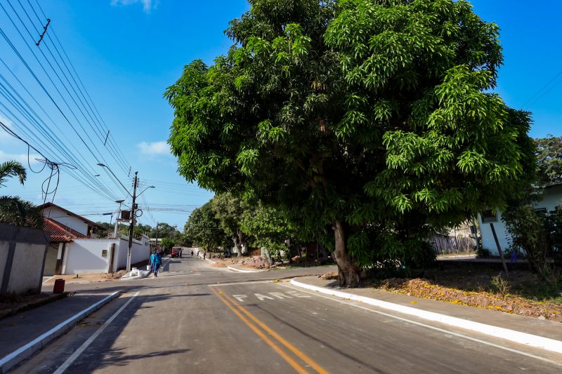  <div class='credito_fotos'>Foto: Bruno Cruz / Agência Pará   |   <a href='/midias/2024/originais/20895_adf74a7f-ea60-566a-b0bb-18864c026b01.jpg' download><i class='fa-solid fa-download'></i> Download</a></div>