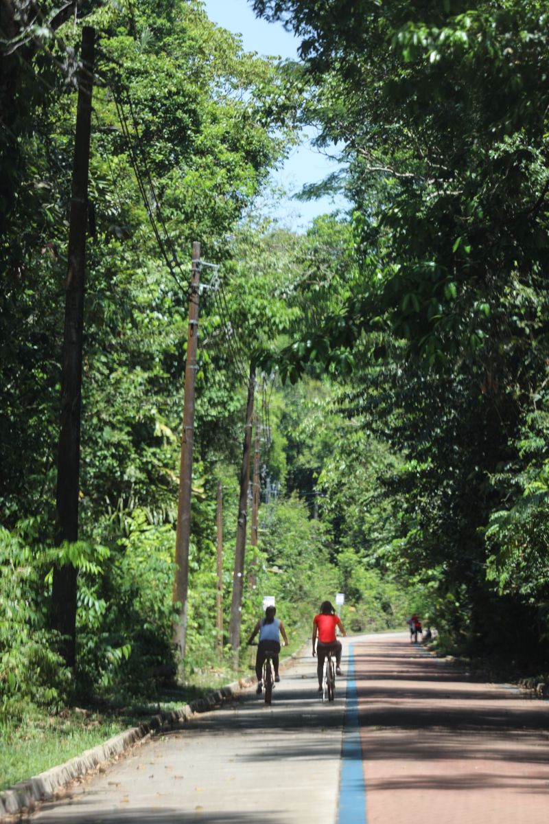  <div class='credito_fotos'>Foto: Bruno Cecim / Ag.Pará   |   <a href='/midias/2024/originais/20898_a832f18a-cb77-ce59-4c27-9b17ee1b0cf1.jpg' download><i class='fa-solid fa-download'></i> Download</a></div>