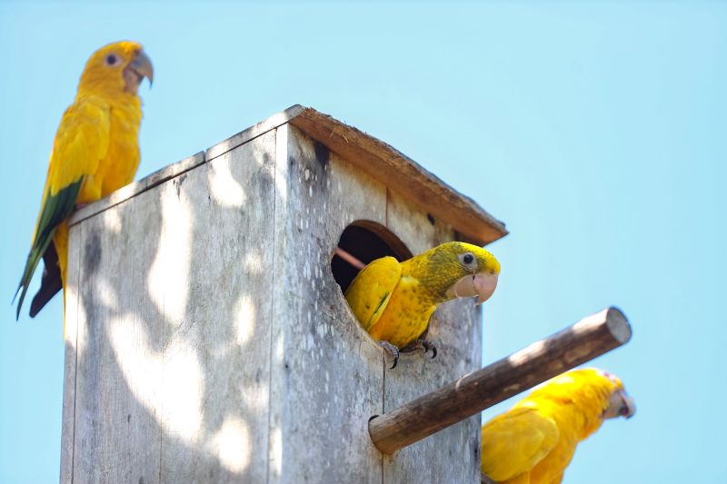  <div class='credito_fotos'>Foto: Bruno Cecim / Ag.Pará   |   <a href='/midias/2024/originais/20898_d20fdfff-c0e5-d407-aeb1-119fb238ecd4.jpg' download><i class='fa-solid fa-download'></i> Download</a></div>