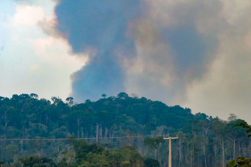  <div class='credito_fotos'>Foto: Pedro Guerreiro / Ag. Pará   |   <a href='/midias/2024/originais/20923_c08a86f2-c399-9b5d-7427-f6e55e406e38.jpg' download><i class='fa-solid fa-download'></i> Download</a></div>