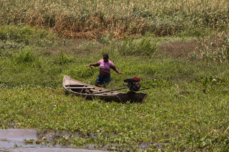  <div class='credito_fotos'>Foto: Bruno Cruz / Agência Pará   |   <a href='/midias/2024/originais/21101_c956546f-3abc-28ab-88a7-306912daec84.jpg' download><i class='fa-solid fa-download'></i> Download</a></div>