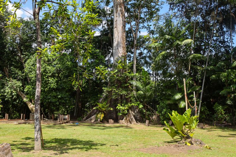  <div class='credito_fotos'>Foto: Bruno Cruz / Ag. Pará &nbsp;&nbsp;|&nbsp;&nbsp; <a href='/midias/2024/originais/21366_1821209a-42ff-fec3-613a-42dc11c22de5.jpg' download><i class='fa-solid fa-download'></i> Download</a></div>