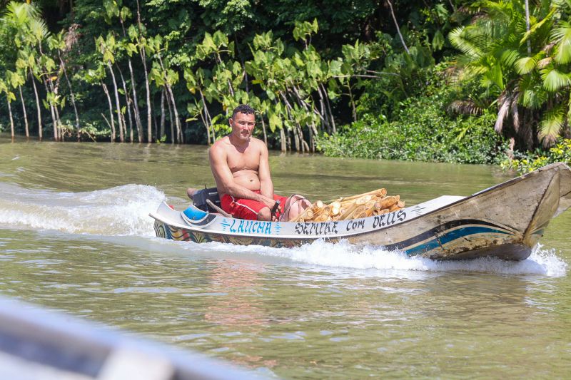  <div class='credito_fotos'>Foto: Bruno Cruz / Ag. Pará &nbsp;&nbsp;|&nbsp;&nbsp; <a href='/midias/2024/originais/21366_392e73eb-d0e8-71ff-70ae-26a9045a6908.jpg' download><i class='fa-solid fa-download'></i> Download</a></div>