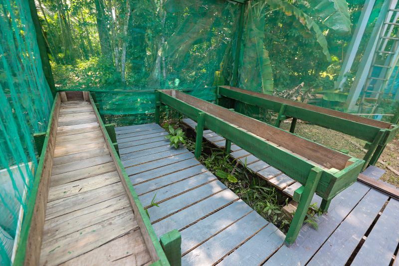  <div class='credito_fotos'>Foto: Bruno Cruz / Ag. Pará &nbsp;&nbsp;|&nbsp;&nbsp; <a href='/midias/2024/originais/21366_81a7b75a-6c6b-5245-b19a-28a640058352.jpg' download><i class='fa-solid fa-download'></i> Download</a></div>