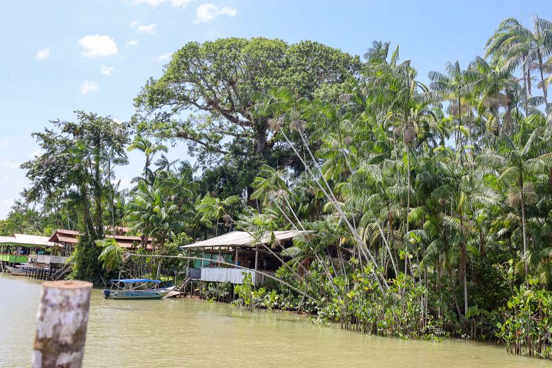  <div class='credito_fotos'>Foto: Bruno Cruz / Ag. Pará &nbsp;&nbsp;|&nbsp;&nbsp; <a href='/midias/2024/originais/21366_f8cb73b8-a501-2143-7fec-03036c17b078.jpg' download><i class='fa-solid fa-download'></i> Download</a></div>