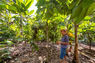 galeria: Sistemas Agroflorestais impulsionam produção agrícola em São Geraldo do Araguaia