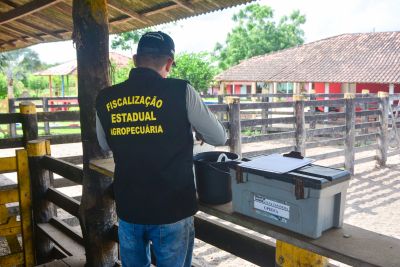 notícia: Adepará realiza VII Fórum Estadual de Vigilância para Febre Aftosa no Pará