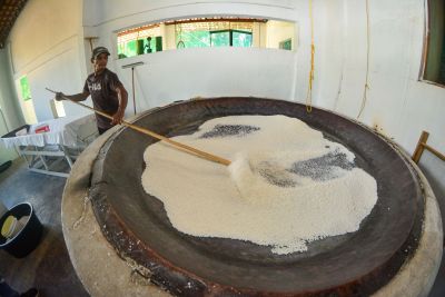 galeria: ADEPARÁ - SABOR DE BRAGANÇA - FARINHA DE MANDIOCA -  BRAGANÇA