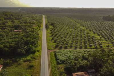 notícia: PA-256 integra municípios e impulsiona o desenvolvimento do nordeste paraense