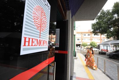 notícia: Dia do Médico: profissionais do Hemopa destacam cuidado humanizado e avanços na assistência hematológica