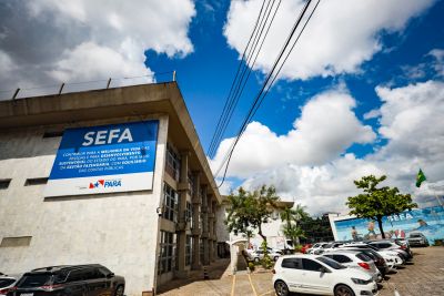 notícia: Nova Declaração Eletrônica substitui Nota Fiscal Avulsa para pessoas físicas no Pará