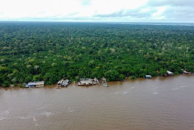 notícia: Jovens podem se inscrever para participar de debates sobre a COP 30