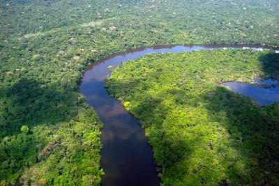 notícia: Pará reduz em 42% os alertas de desmatamento em um ano, a maior redução da Amazônia Legal