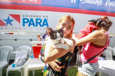 notícia: Médicos veterinários: pilares da saúde e prosperidade agropecuária no Pará