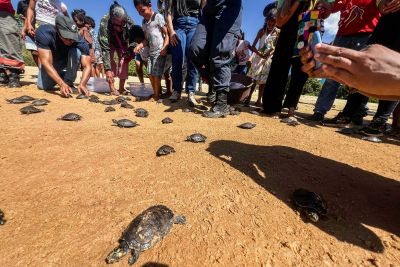 galeria: Soltura de 3 mil quelônios no rio Araguaia marcam programação pelo “Junho Verde” no sudeste paraense