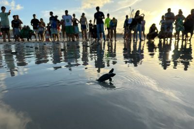 notícia: Ideflor-Bio promove ações de educação ambiental na Praia do Atalaia durante “Operação Verão 2024”