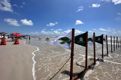 notícia: Ideflor-Bio reforça proteção da Praia do Atalaia com novo estaqueamento