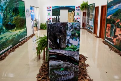 notícia: Memorial Fotográfico da Serra das Andorinhas destaca riquezas naturais