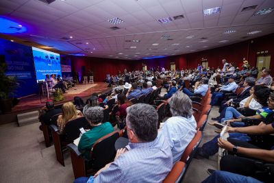 notícia: Pará lança programa que desbloqueia a venda de gado em áreas com recuperação ambiental