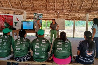 galeria: Formação de agentes agroflorestais avança na Terra Indígena Alto Rio Guamá com foco em sustentabilidade