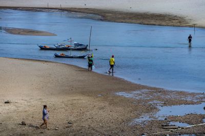 galeria: Imagens de Alter - do - Chao - Santarém