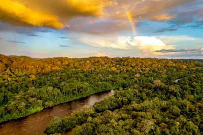 notícia: Estado sanciona lei do Plano Amazônia Agora para fortalecer conservação e sustentabilidade do Pará