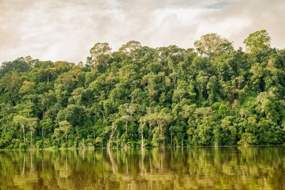 notícia: Uepa vai sediar I Simpósio de Governança Ambiental Global e Políticas Públicas na Amazônia Legal