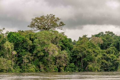 notícia: Pará atinge marca de 1,5 milhão de hectares de CAR de Povos e Comunidades Tradicionais inscritos 