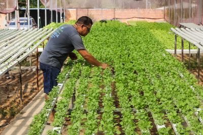 notícia: Pará realiza 3ª Conferência Estadual de Desenvolvimento Rural Sustentável