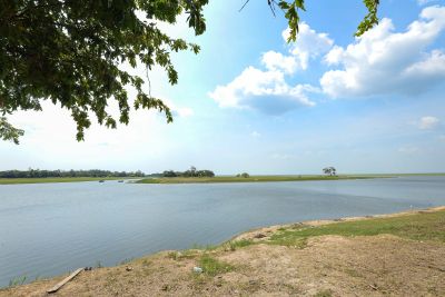 notícia: Semas divulga relatório sobre mortandade de peixes  no Lago Aramanaí, em Santarém