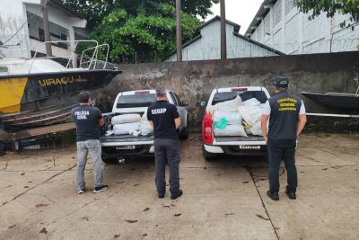 notícia: Fiscalização da Base Antônio Lemos apreende carga estimada em 1 tonelada de Pirarucu