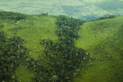 notícia: Governo investe em tecnologia para a gestão ambiental no Pará