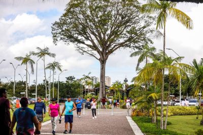 notícia: Parque Estadual do Utinga celebra os 408 anos de Belém com programação especial