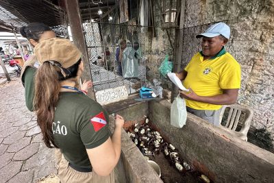 notícia: Semas fiscaliza feiras de Belém e Ananindeua no período de defeso do caranguejo