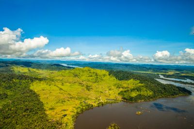 notícia: Na Suíça, Governo do Pará apresenta desafios e oportunidades da Amazônia ao Fórum Econômico Mundial