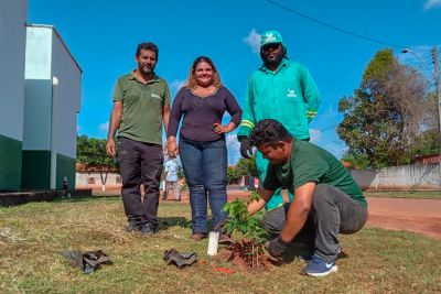 notícia: Ideflor-Bio e Prefeitura de Palestina do Pará realizam plantio de 510 mudas nos espaços públicos do município