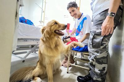 notícia: Pacientes do Hospital Ophir Loyola recebem visita de cão terapeuta da Polícia Militar