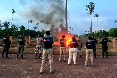 notícia: Semas desarticula ação ilegal em área destinada à restauração florestal, em São Félix do Xingu