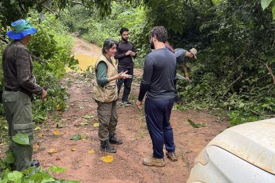 notícia: Semas articula criação de Corredor Ecológico Carajás-Bacajás no sudeste estadual