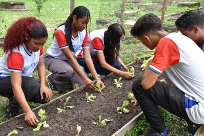 notícia: EETEPA de Cametá realiza horta escolar como prática educativa 