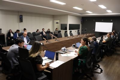 notícia: Tribunal de Recursos Ambientais agiliza a pauta de julgamentos de processos no Pará