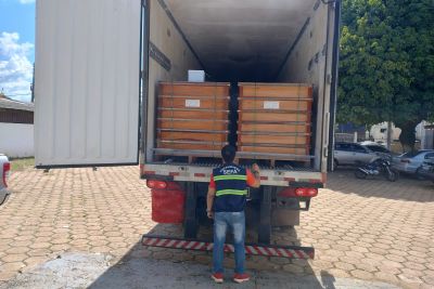 notícia: Sefa apreende três toneladas de suco de laranja em Dom Eliseu 