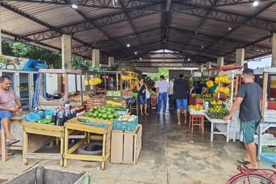 notícia: Sedap visita municípios paraenses para diagnosticar Feiras e Mercados