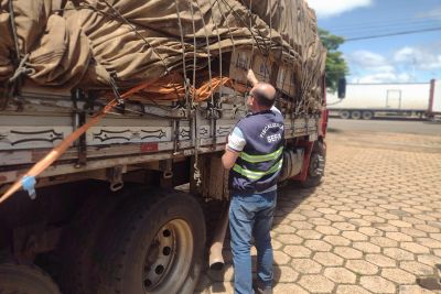 notícia: Sefa apreende 7 toneladas de materiais de construção em Dom Eliseu
