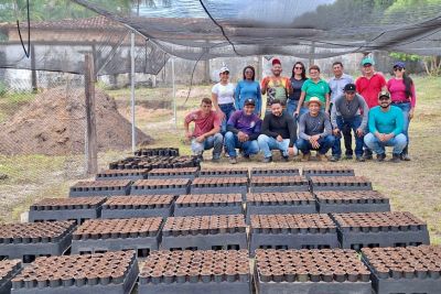 notícia: Ideflor-Bio capacita técnicos em produção de mudas e fortalece ações ambientais em Mocajuba