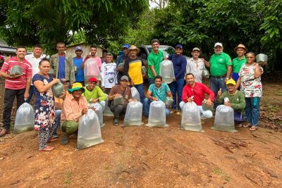notícia: Empresa de Assistência e Extensão Rural incentiva criação de tambaqui em Altamira