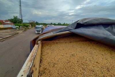notícia: Sefa apreende 60 toneladas de soja em Dom Eliseu