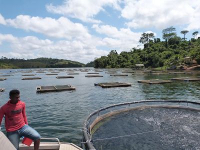 notícia: Mosaico de Unidades de Conservação no Lago de Tucuruí completa 22 anos